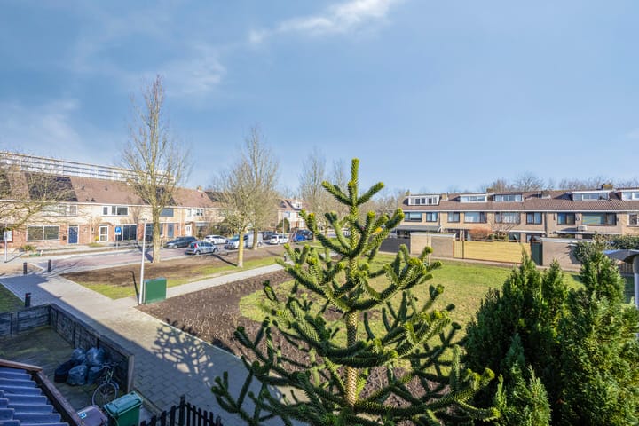 Foto 25 van Roggebotstraat 87