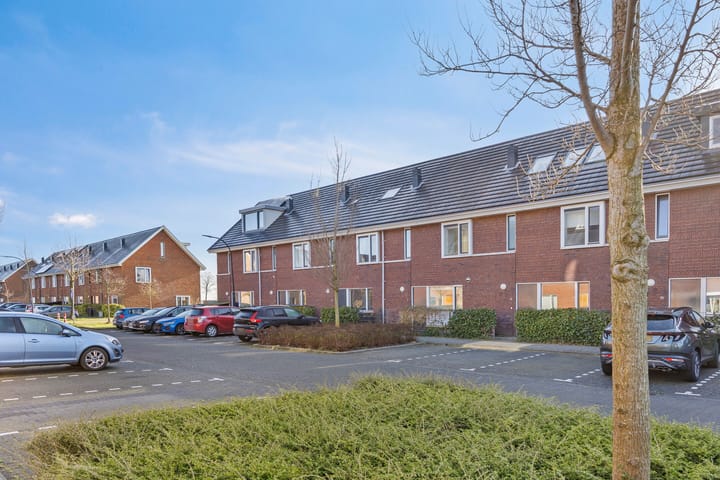 Foto 6 van Meerval 52