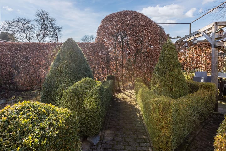 Foto 35 van Jan Pzn Coenstraat 28