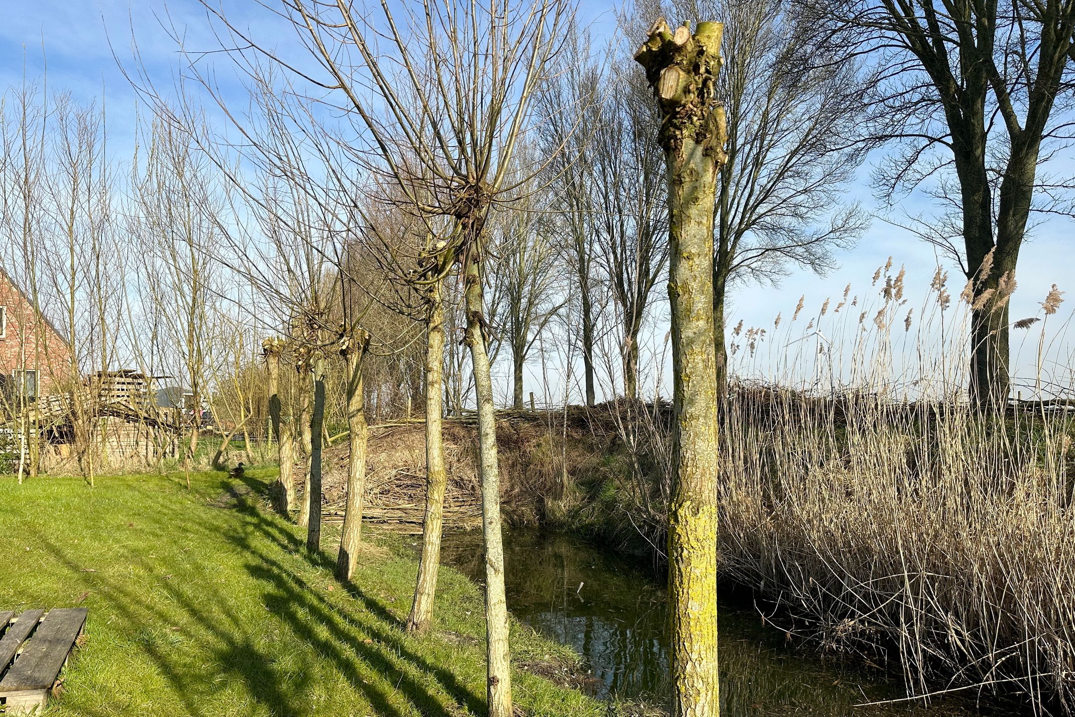 Foto 60 van Socratesstraat 2