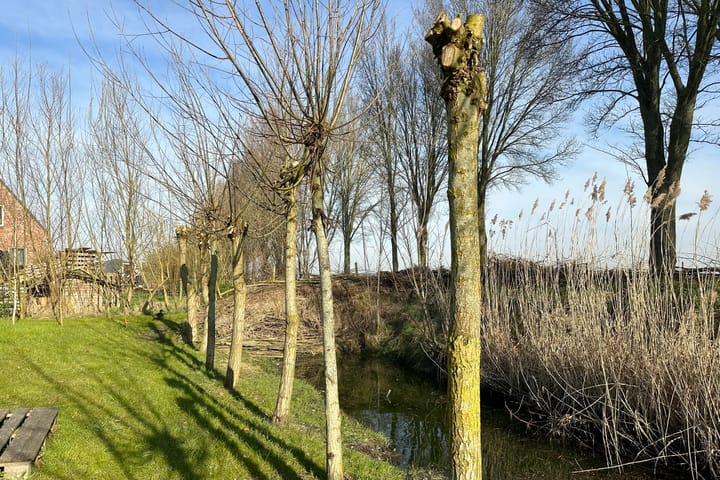 Foto 60 van Socratesstraat 2