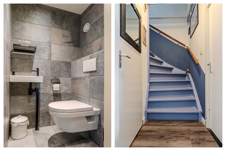 Foto 15 van Melkkruid 14