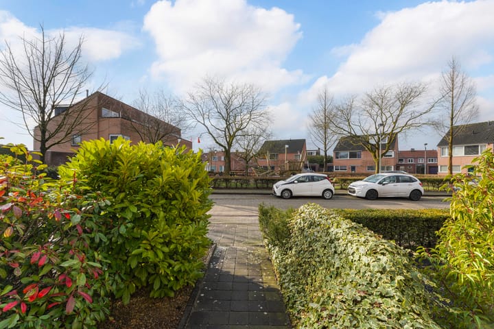 Foto 47 van Dufourstraat 54