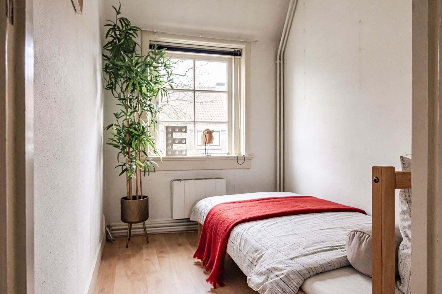 Foto 20 van Lijsterbeslaan 9