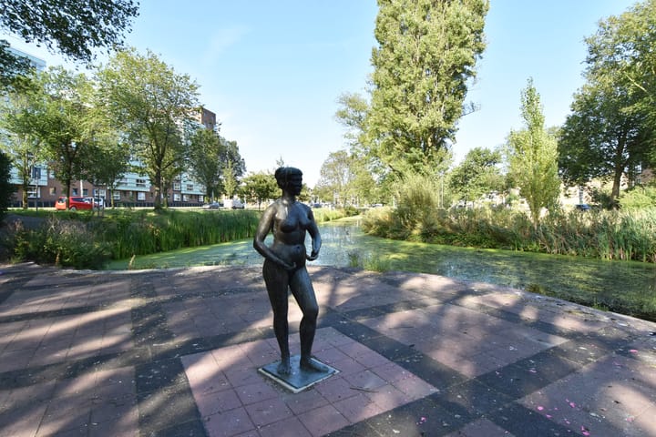 Foto 41 van Cornelis de Wittlaan 32