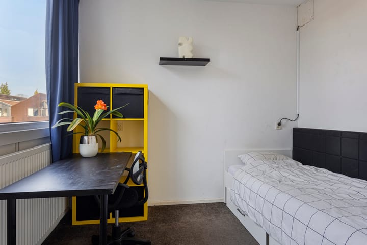 Foto 30 van Rietdekkersdreef 301