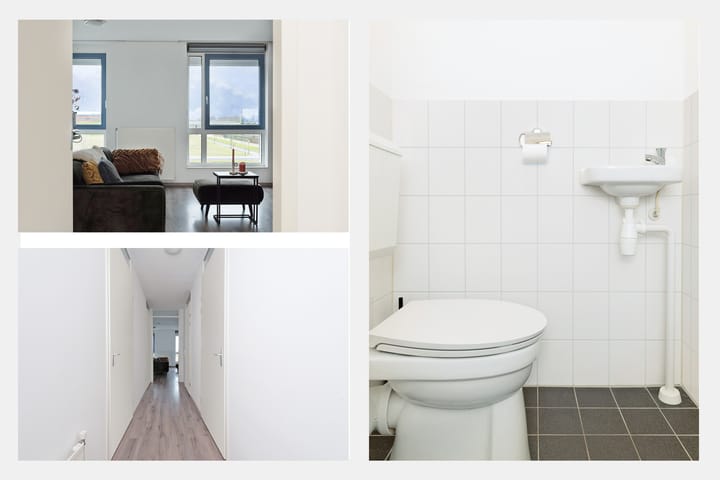 Foto 8 van De Hoevens 76