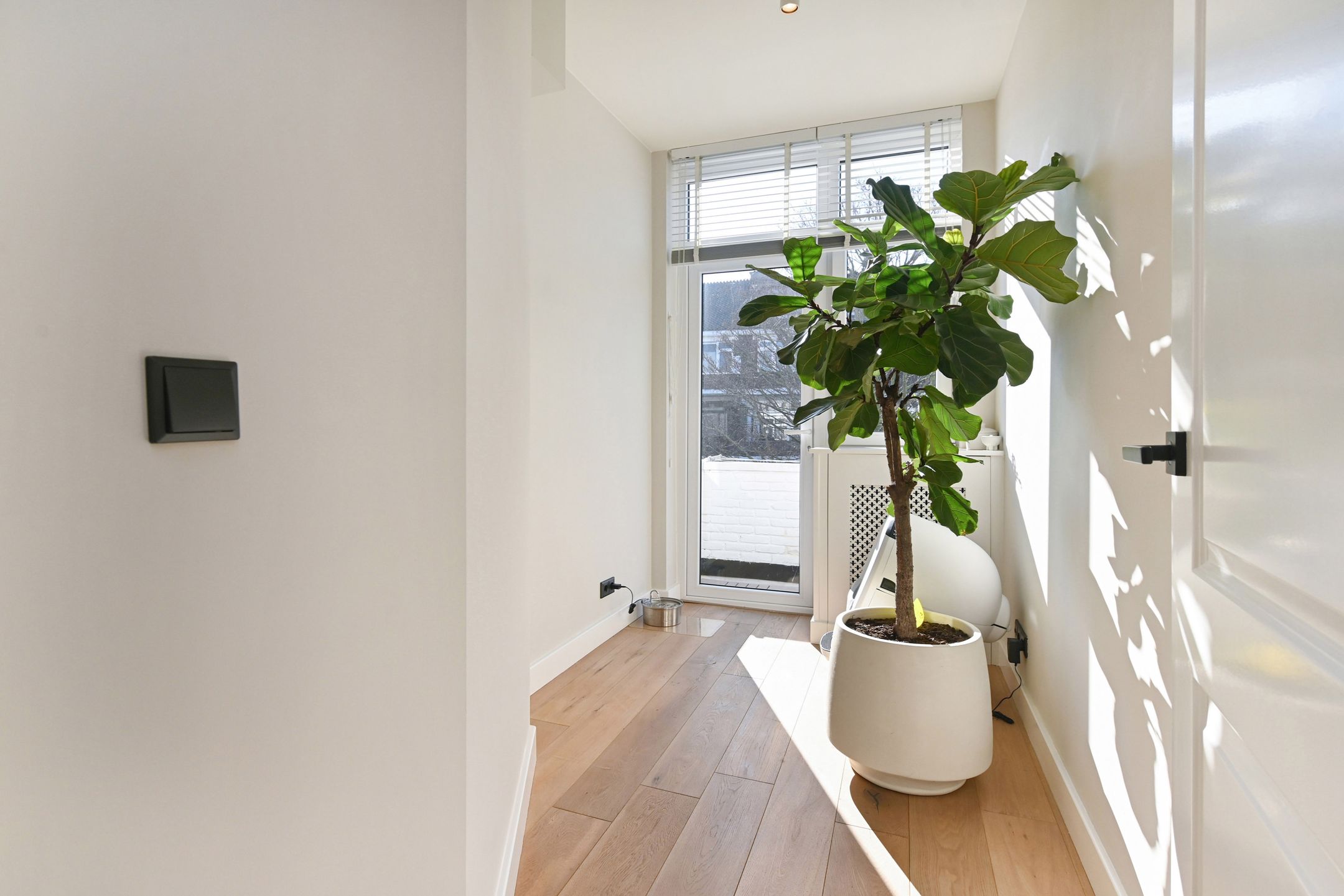 Photo 24 of Ananasstraat 16