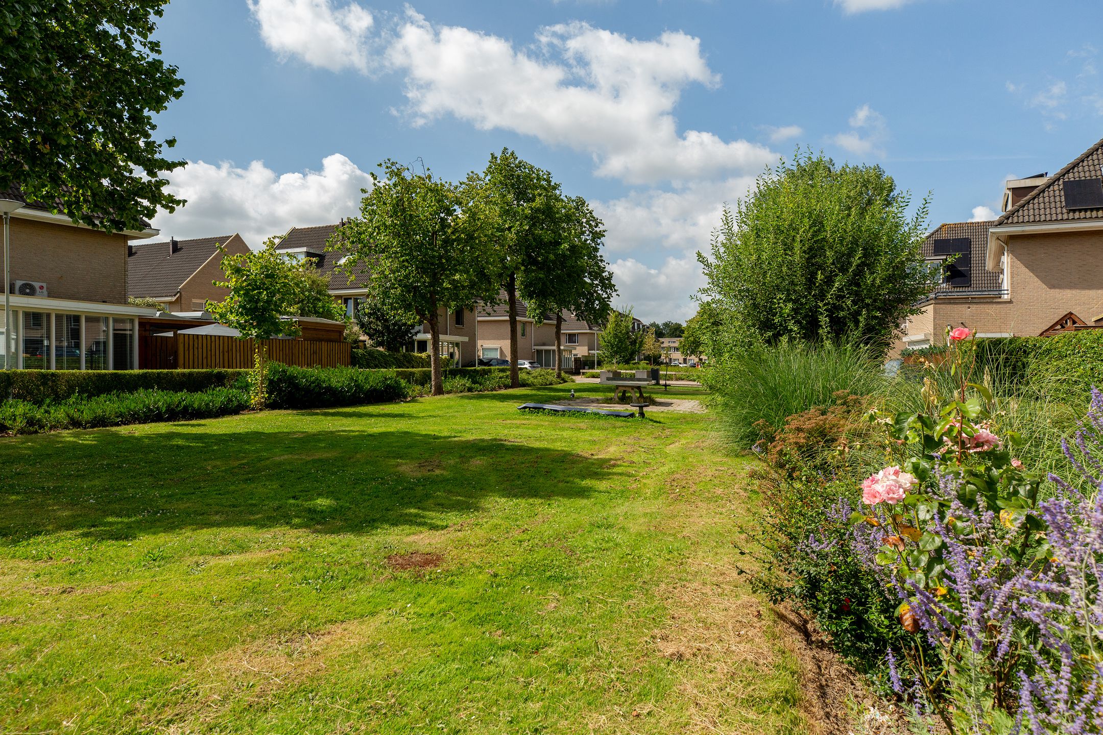 Foto 6 van Binkhorst 60