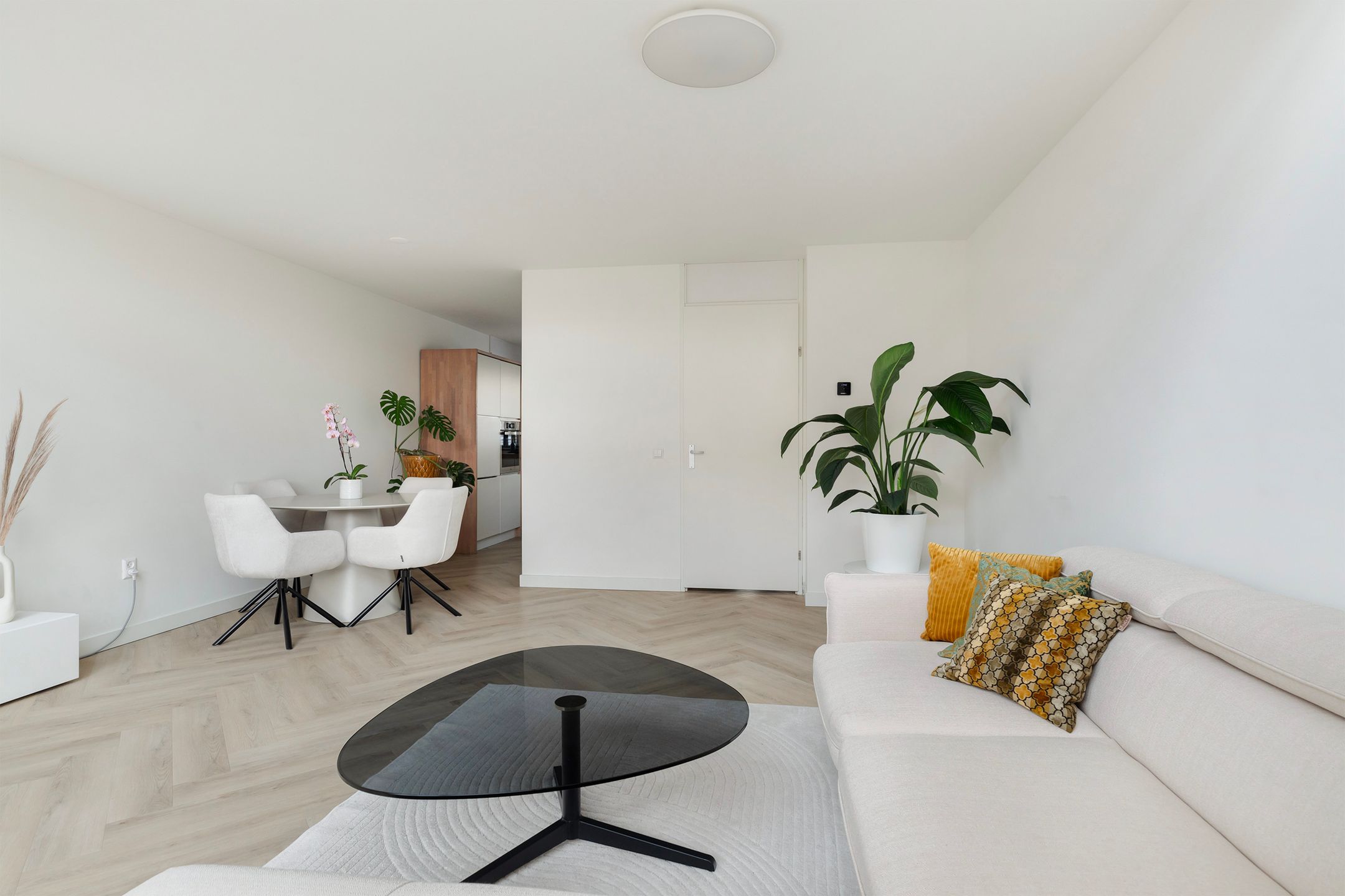 Foto 12 van Binkhorst 60