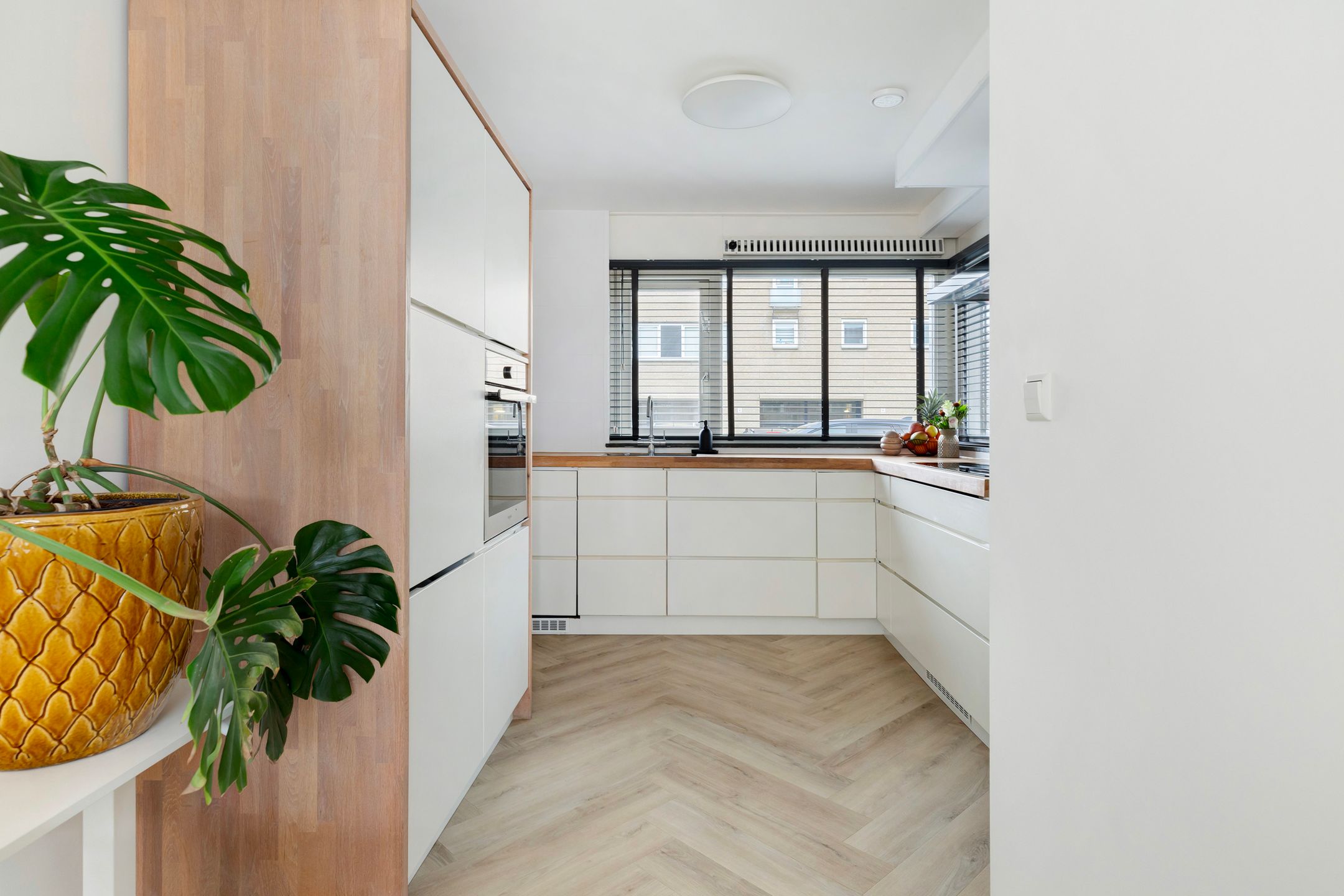 Foto 15 van Binkhorst 60