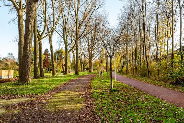 Foto 42 van Binkhorst 60