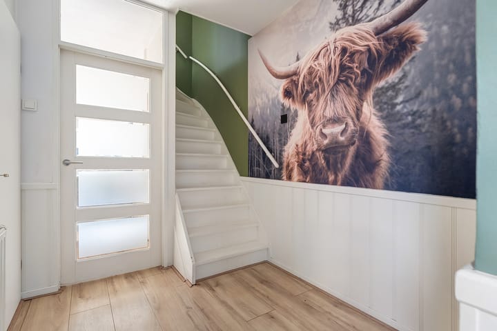 Foto 6 van Polberg 66