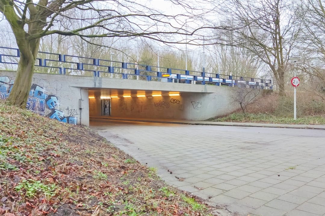 Foto 23 van Eastonstraat 151