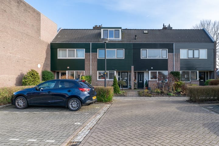 Foto 4 van Zirkoon 6