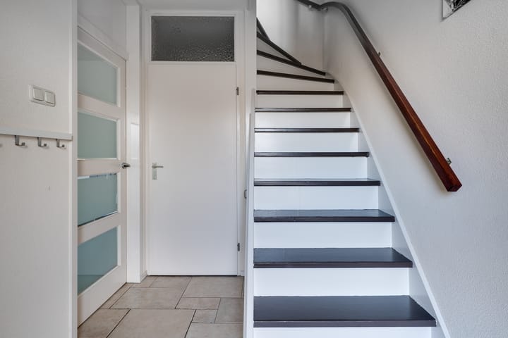 Foto 5 van Zirkoon 6