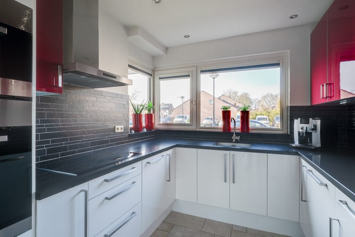 Foto 15 van Zirkoon 6