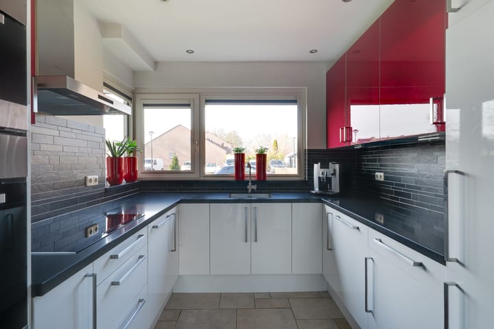 Foto 3 van Zirkoon 6