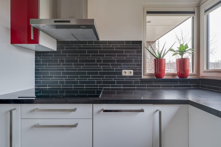 Foto 17 van Zirkoon 6