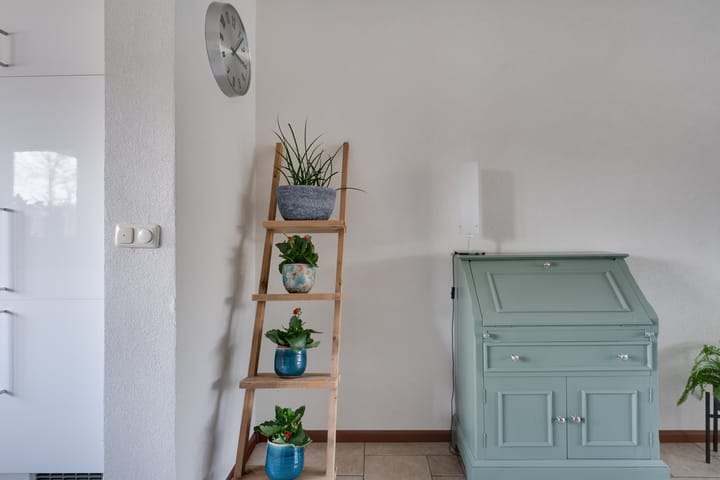 Foto 21 van Zirkoon 6