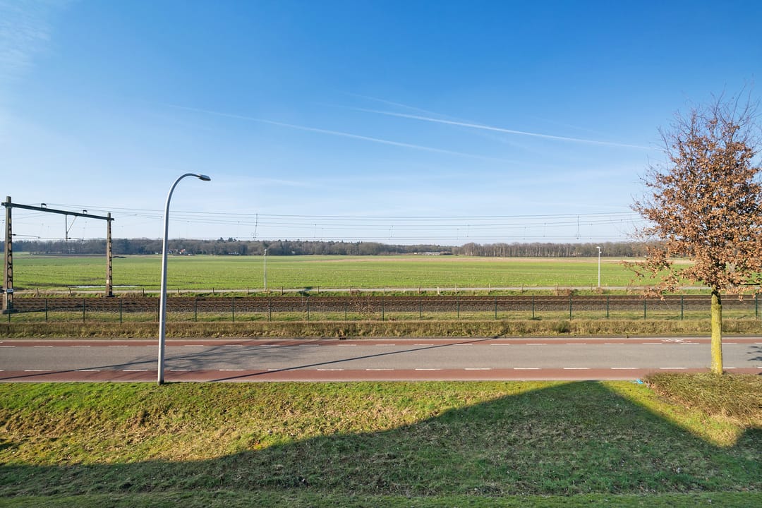 Foto 43 van Drostenstraat 99