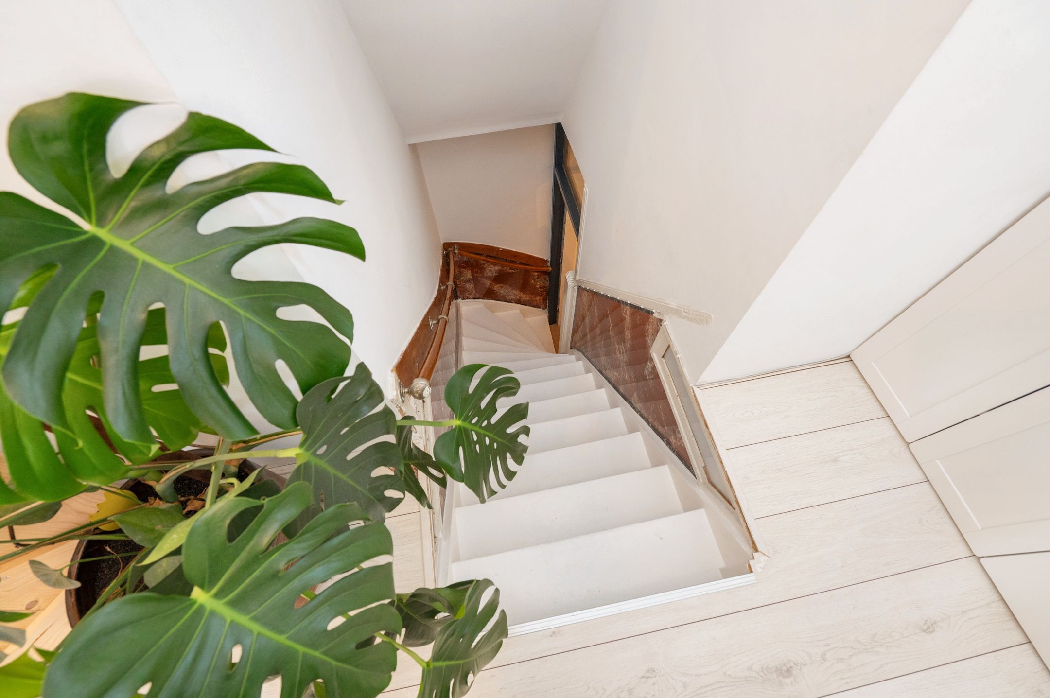 Foto 36 van Wapenveldestraat 20