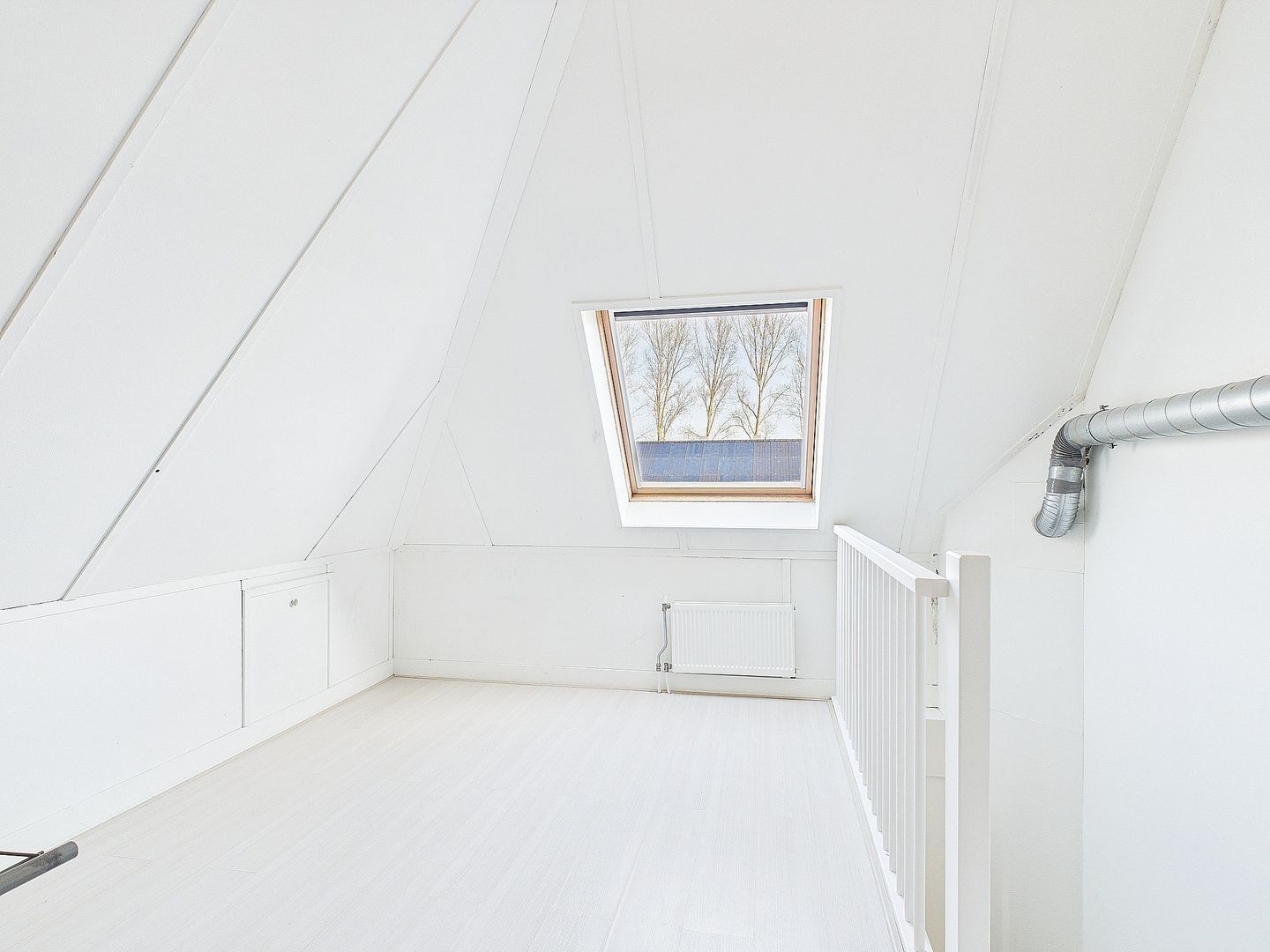 Foto 29 van Tapijtschelp 30