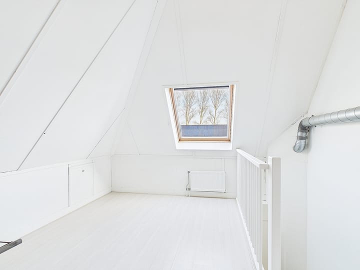 Foto 29 van Tapijtschelp 30