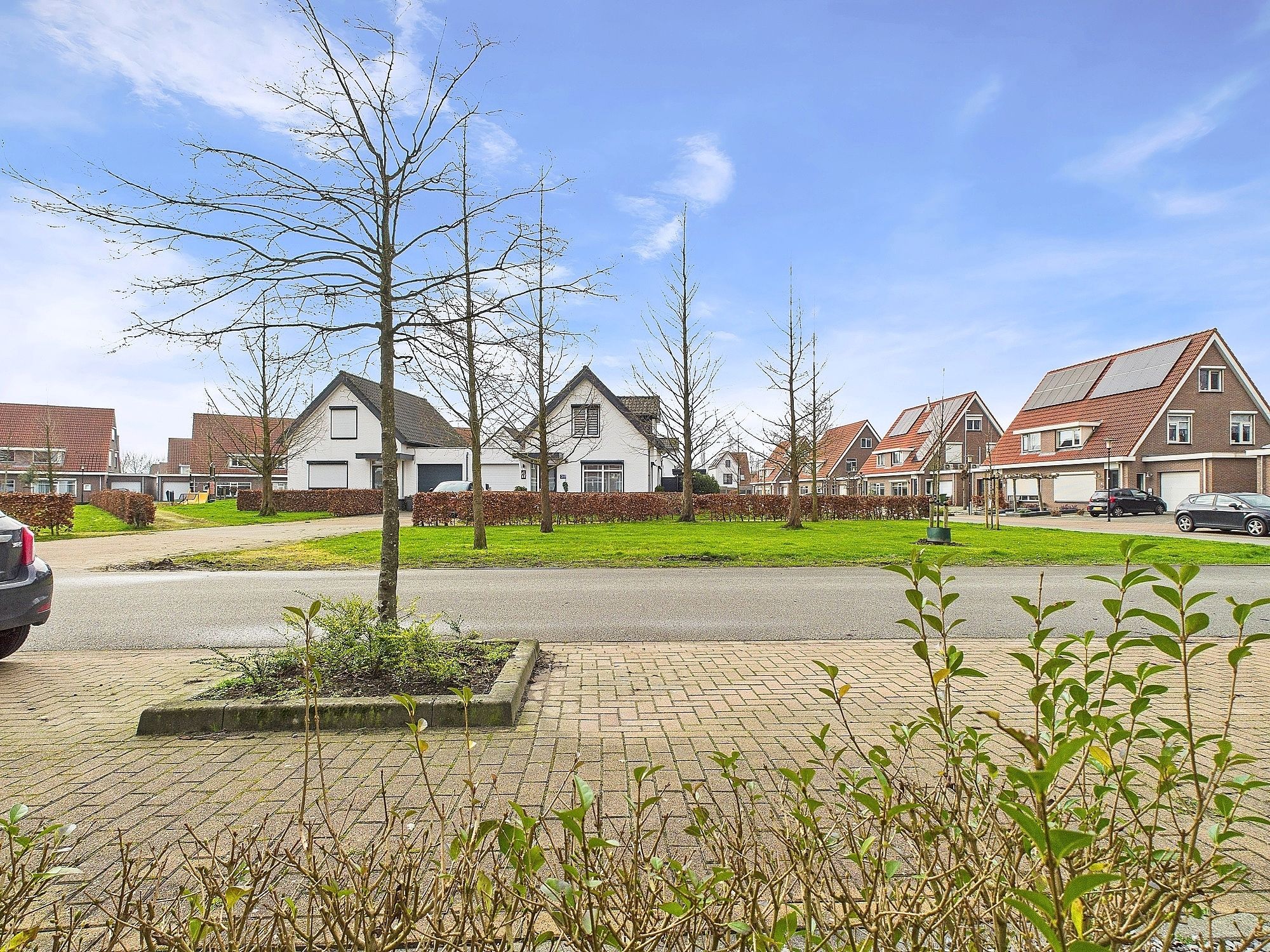 Foto 39 van Tapijtschelp 30