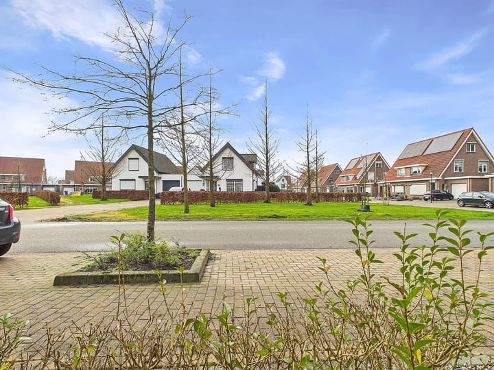 Foto 39 van Tapijtschelp 30