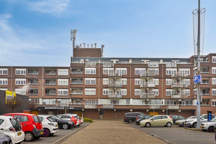 Foto 4 van Franklin D Rooseveltlaan 199