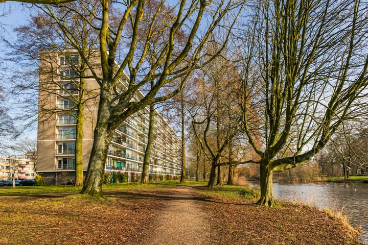 Foto 23 van Rhodosdreef 50