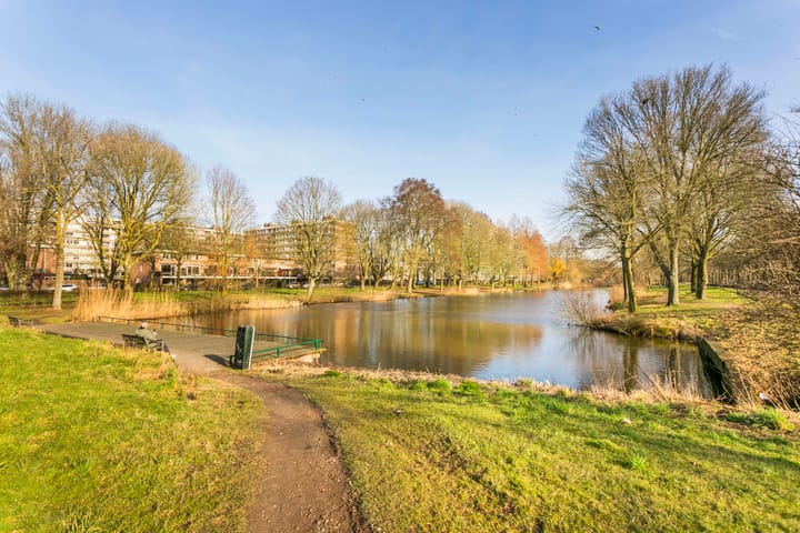 Foto 25 van Rhodosdreef 50