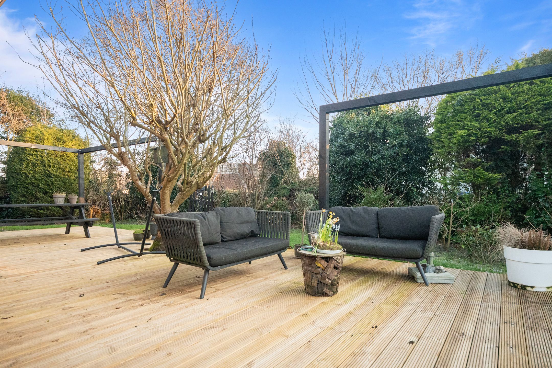 Foto 33 van Vogelzand 3115