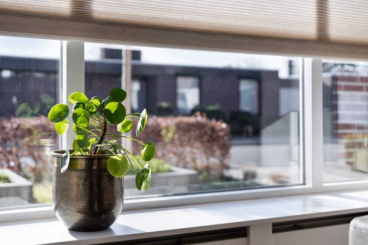 Foto 9 van Bremstraat 2