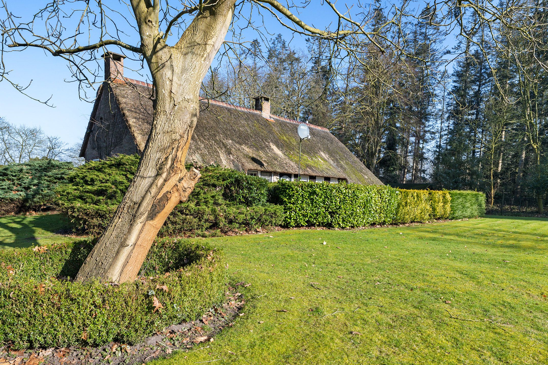 Foto 48 van Hooiweg 1