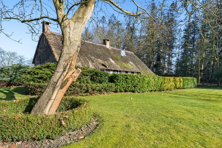 Foto 48 van Hooiweg 1