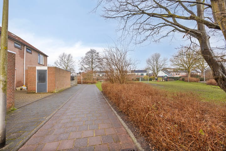 Foto 28 van De Fazant 43