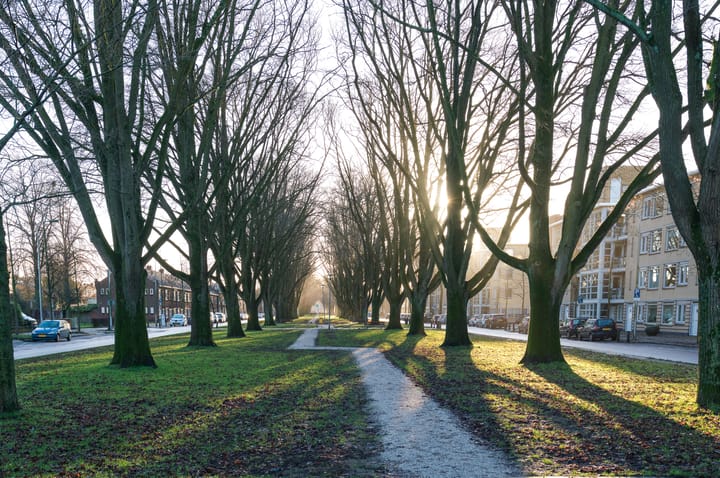 Foto 50 van Weeresteinhof 13