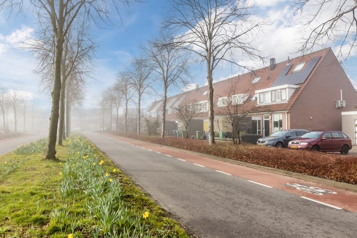 Foto 4 van Laan van Rome 13