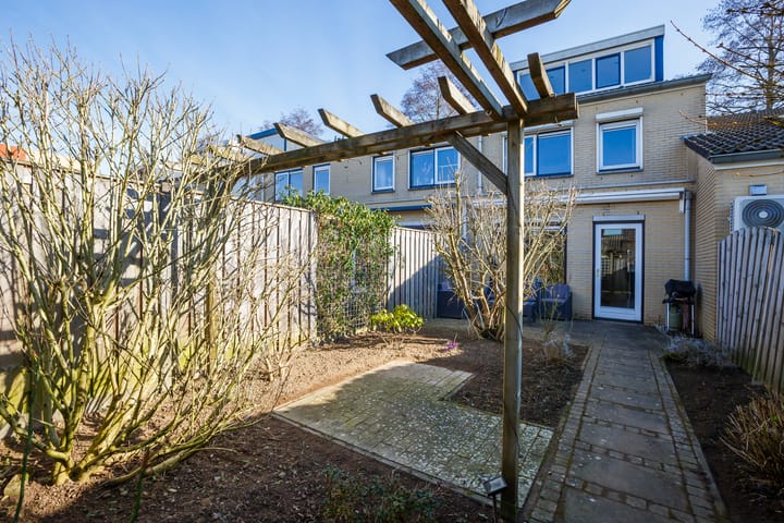 Foto 2 van Hof van Rome 111