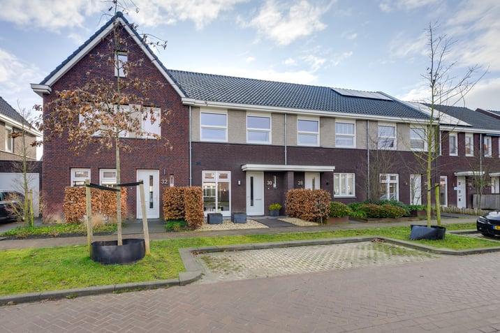 undefined main image
