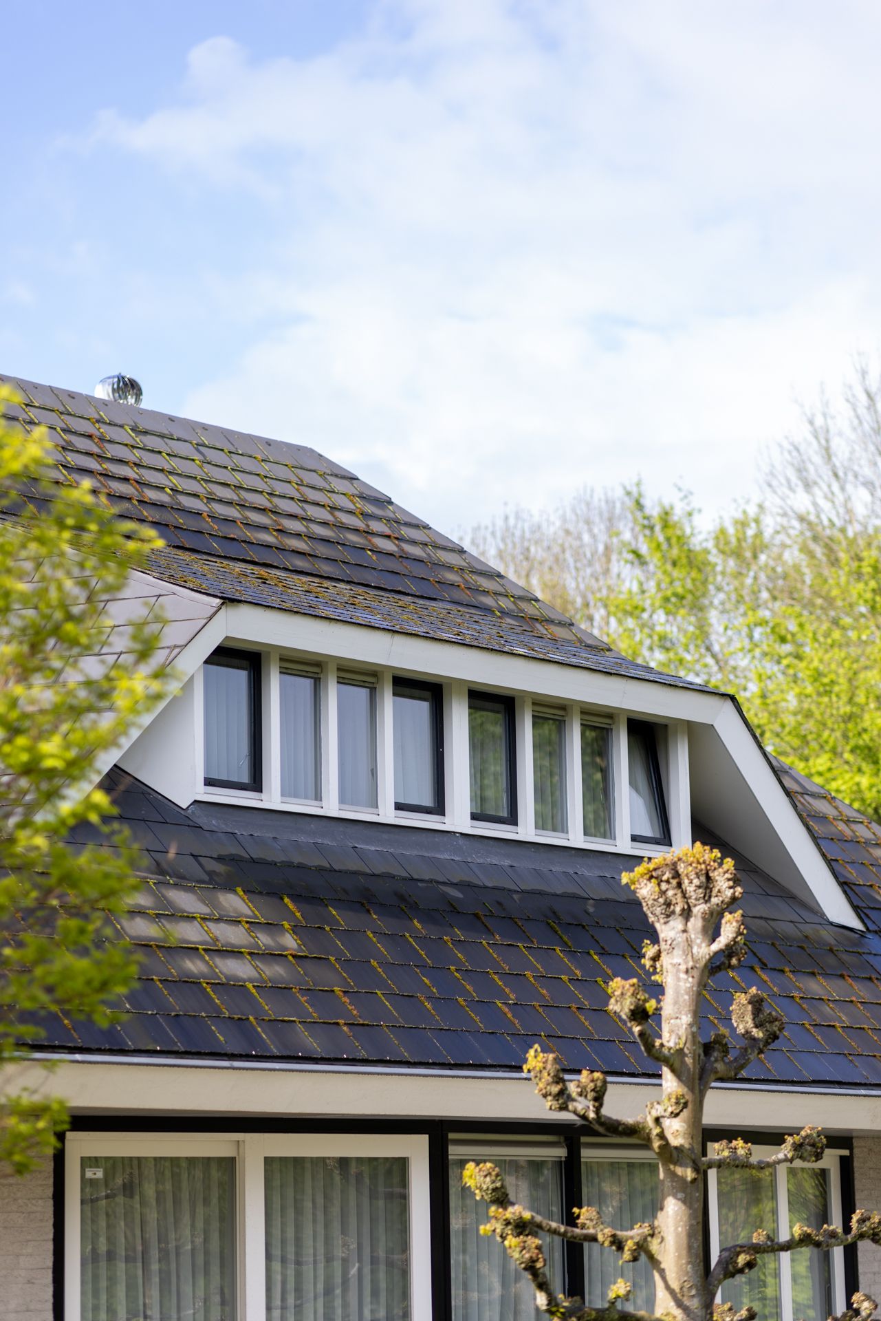 Foto 42 van Ringvaartpark 27