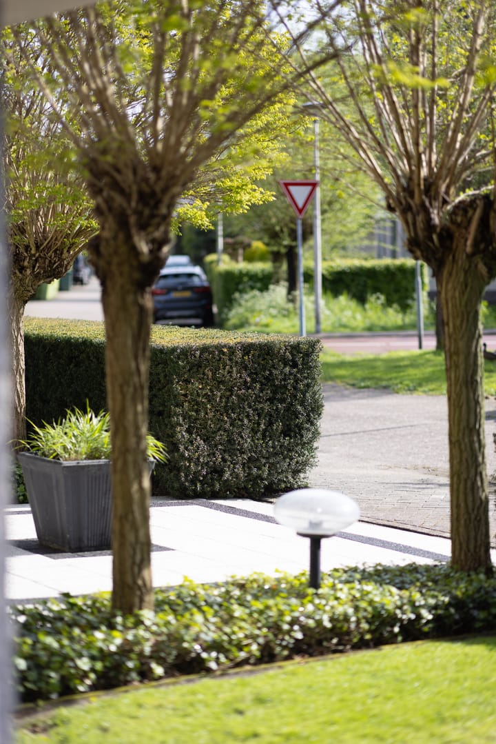 Photo 44 of Ringvaartpark 27