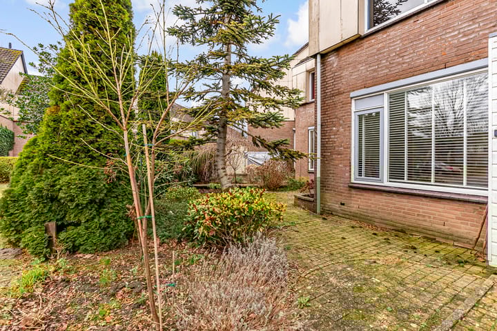 Foto 5 van Hofmark 99