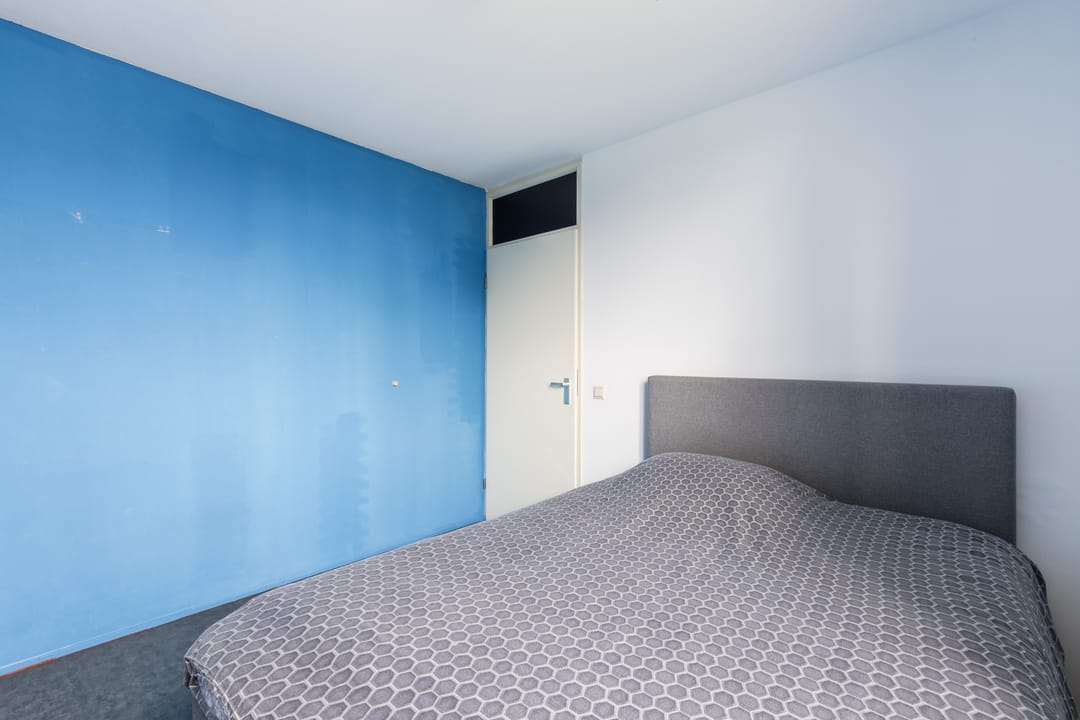 Foto 22 van Eline Vereplantsoen 49