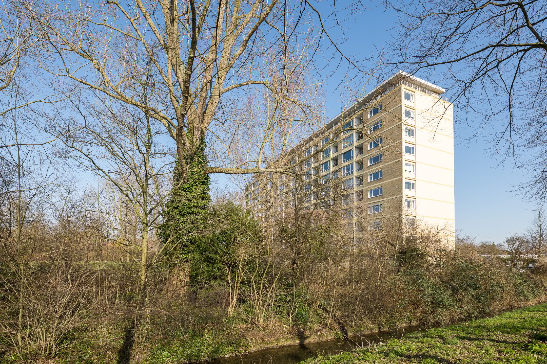 Foto 3 van Van Vollenhovenplein 93