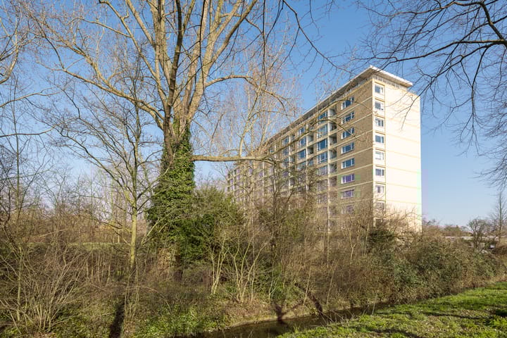 Foto 3 van Van Vollenhovenplein 93