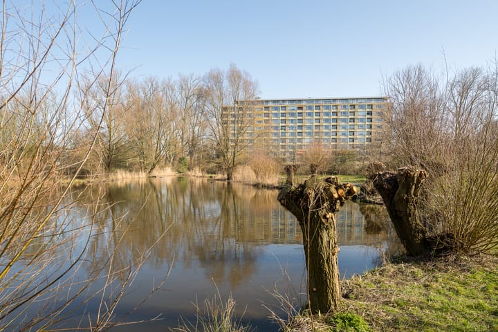 Foto 4 van Van Vollenhovenplein 93