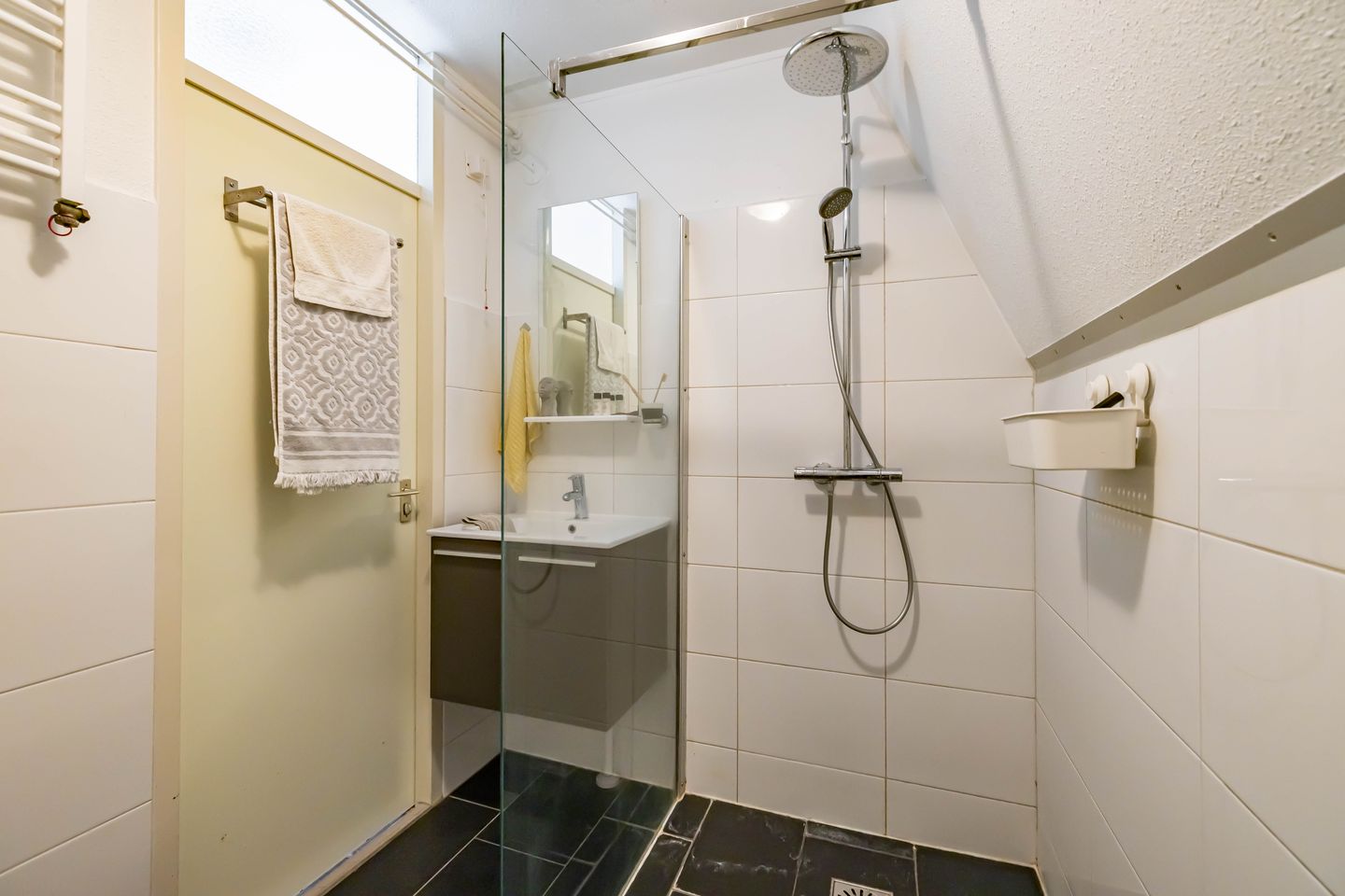 Foto 4 van Scheltemaheerd 100